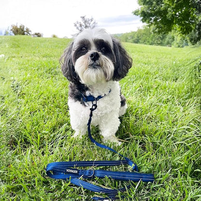 Best Pet Supplies Voyager Reflective Dog Leash or Collar with Neoprene Handle, for Small, Medium, and Large Breed Puppies, Cute and Heavy Duty for Walking, Running and Training - Royal Blue (Leash), M
