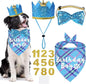 Dog Birthday Party Supplies, Multi Sizes Dog Birthday Bandana Boy Dog Birthday Hat Crown with Birthday Numbers Bow Tie for Medium Large Dogs Pets (Light Blue, Large)