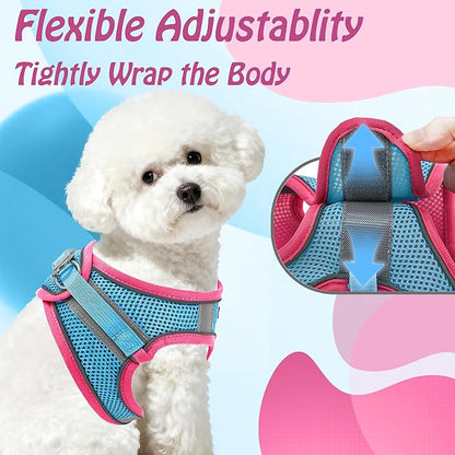 AIITLE Step in Dog Harness and Leash Set - No Pull Escape Proof Vest Harnesses with Soft Mesh and Reflective Bands, Adjustable Pet Outdoor Harnesses for Small and Medium Dogs Hot Pink M