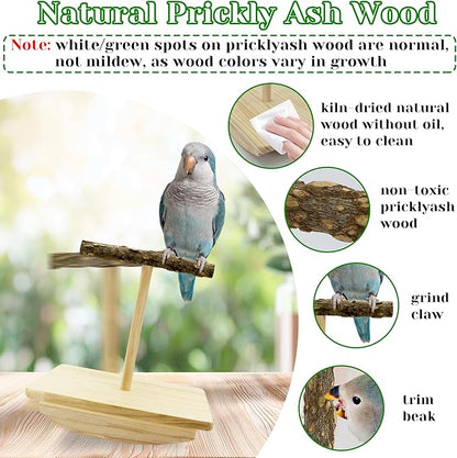 Natural Wood Bird Perch Stand Training, Quaker Parrot Toys, Intelligence Puzzle Enrichment Toys for Parakeets, Wooden Parrot Perch Platform for Large Birds, Bird Playground Play Stands for Sun Conure