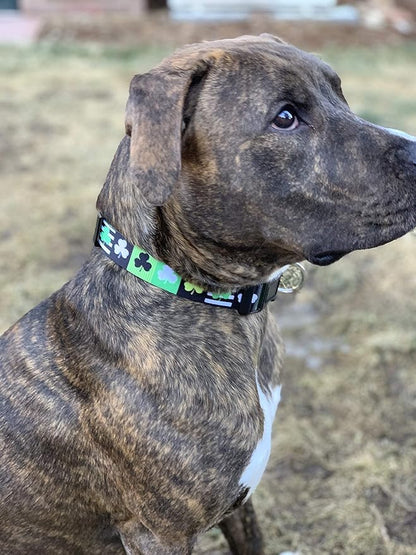 Native Pup St Patricks Dog Collar- Saint Patrick Green Shamrock Pet Collars- St. Patrick’s Lucky Irish- Cute Boy Girl Puppy Gift- Adjustable for Small, Medium, Large Breeds (Patterned Shamrock, Large)