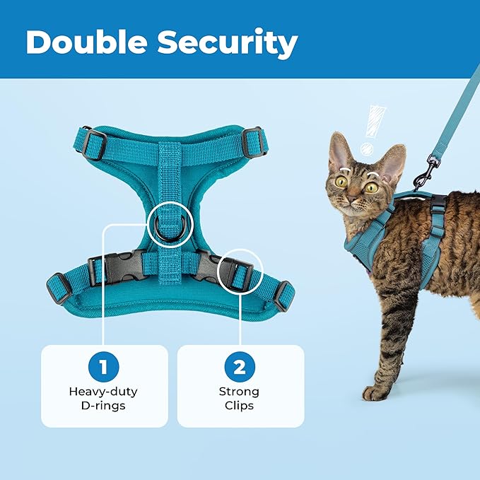 Voyager Escape-Proof Step-in Lock Cat Harness & 5ft Neoprene-Handle Leash Set All-Weather Mesh with Reflective Stitching for Small to Large Cats by Best Pet Supplies, Turquoise (327), XXS