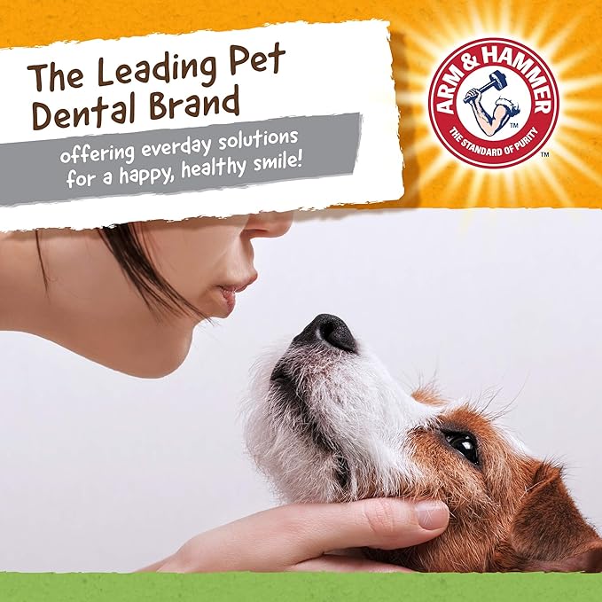 Arm & Hammer for Pets Nubbies Dental Toys T-Rex Dental Chew Toy for Dogs Best Dog Chew Toy for Moderate Chewers Reduces Plaque & Tartar Buildup Without Brushing, Mint Flavor (Pack of 1)