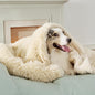 Bedsure Waterproof Dog Blankets for Large Dogs - Calming Cat Blanket for Couch Protector Washable, Long Faux Fur Pet Throw Blanket for Puppy, Reversible Furniture Protection, 50"x60", Cream