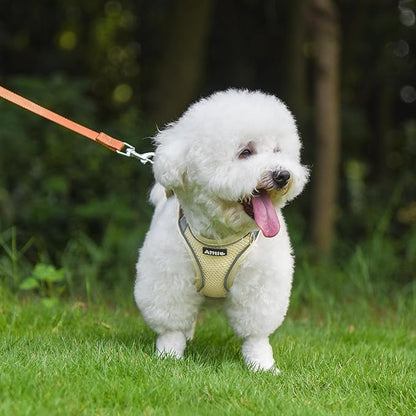 AIITLE Easy Walk Dog Harness and Leash Set - Pet Supply No Pull, Step in Adjustable Dog Harness with Padded Vest, Dog Harness No Choke Over, Easy to Put on Medium Dogs Beige L