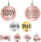 Ultra Joys Dog ID Tag, Custom Pet Tag, Personalized Dog Tags, Pet ID Tag, Brushed Stainless Steel Round Cat Tag Rose Gold Small
