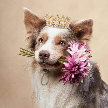 Abbylike Pet Rhinestone King Crown, Queen Crown for Birthday New Year Costume for Small Dog Cat Cosplay Party Accessories Adoption Celebration Wedding Birthday Photos Prop Costume(Pink,Medium)