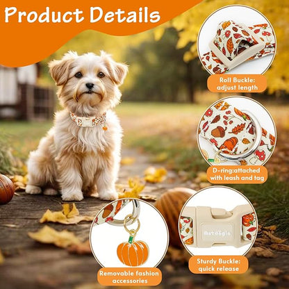 Fall Dog Collar – Halloween & Thanksgiving Dog Collars for Medium Dogs – Soft & Comfortable Autumn Puppy Collar with Quick Release Buckle, Medium Dog Collars for Girl Boy Dogs-M ﻿