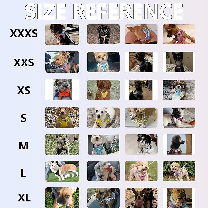 AIITLE Step in Dog Harness and Leash Set - Christmas No Pull Escape Proof Vest Harnesses with Soft Mesh and Reflective Bands, Adjustable Pet Outdoor Harnesses for Small and Medium Dogs Burgundy M