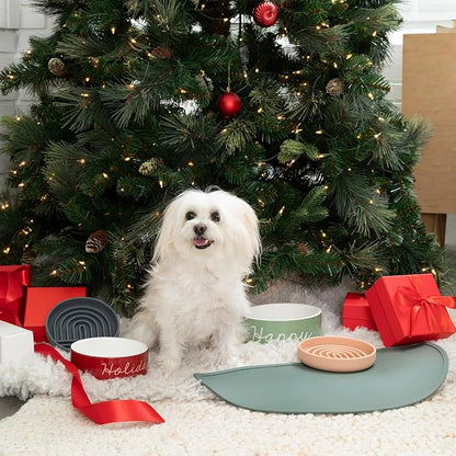 Should We Go - Waterproof Silicone Pet Food Mat - Non-Slip Spill-Proof Feeding Mat for Floors, Raised Edge Design Easy-to-Clean Rubber Pad for Dog & Cat Bowls, 28" Across x 14" Deep, Large-Terracotta