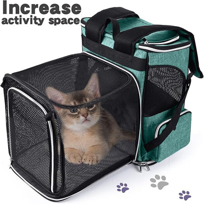 BAGLHER Expandable Pet Carrier Backpack，Pet Backpack for Small Cats Puppies Dogs Bunny, Airline-Approved Ventilate Backpack for Travel, Hiking and Outdoor Use. Green