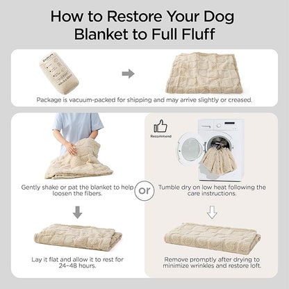 Bedsure Dog Blanket for Small Dogs Washable - Fluffy Fuzzy Puppy Cat Blanket with Premium 300GSM Coral Fleece Soft for Pet Kitten Doggy, Blue, 25x35IN