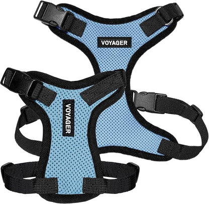 Voyager Step-in Pet Harness - All Weather Mesh, Adjustable Step in Harness for Cats and Dogs by Best Pet Supplies - Baby Blue/Black Trim, XS