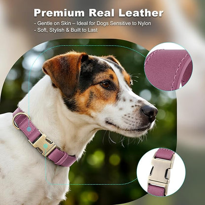 Plutus Pet Genuine Leather Dog Collar – Adjustable Pet Collar with Quick Release Metal Buckle, Soft Real Leather for Small Medium Large Dogs, Heavy Duty & Skin-Friendly (Purple, M)