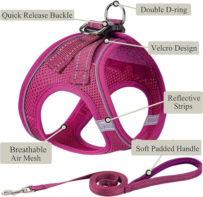 Dog Harness with Leash Set, No Pull Adjustable Reflective Step-in Puppy Pet Vest Harnesses for Small Medium Large Dogs and Cats,Rose Red XXS