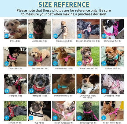 SlowTon No Pull Small Dog Harness and Leash Set, Puppy Soft Vest Harness Neck & Chest Adjustable, Reflective Lightweight Harness & Anti-Twist Pet Lead Combo for Small Medium Dogs (DB-Front Clip, XS)
