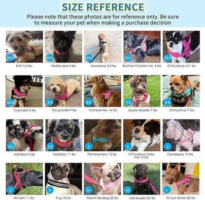SlowTon No Pull Small Dog Harness and Leash Set, Puppy Soft Vest Harness Neck & Chest Adjustable, Reflective Lightweight & Anti-Twist Pet Lead Combo for Small Medium Dogs (G- Front Clip,S)