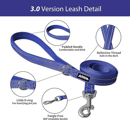 AIITLE Small Harness for Puppy with A Leash - Dog Vest Harness with Super Breathable Mesh, Reflective No-Pull Pet Harness for Outdoor Walking, Running for Small Dogs, Cats Royal Blue XXS