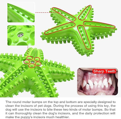 Chew Toy for Dog Toothbrush Stick Dog Toys for Aggressive Chewers Interactive Toys Treats Tough Toy to Keep Them Busy Chew Toys for Small Dogs (Star Toy - Green)