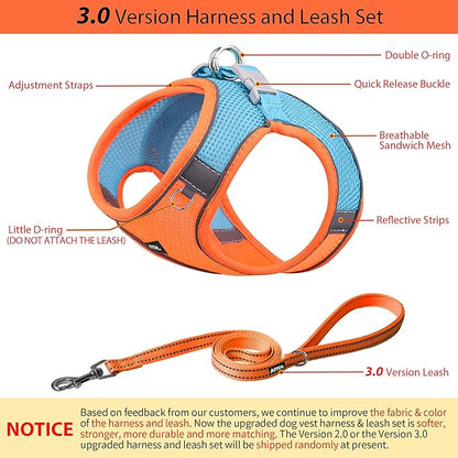 AIITLE Step in Dog Harness and Leash Set - No Pull Escape Proof Vest Harnesses with Soft Mesh and Reflective Bands, Adjustable Pet Outdoor Harnesses for Small and Medium Dogs Orange M