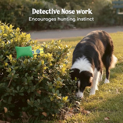 Race&Herd Original Dog Scent Training Kit, Scent Work Training Kit for Dogs - Nosework for Dog Mental Stimulation Agility Training Equipment for Dogs, Brain Games Smell Training Kit for Loss of Smell