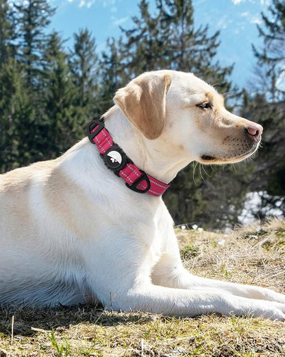 Joytale Airtag Dog Collar, Reflective Pet Collar with Waterproof AirTag Holder, Dual D-Rings, Soft Padded Adjustable for Extra Large Dogs, Hotpink, XL