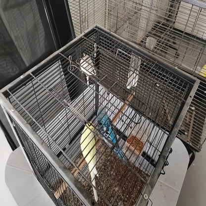Metal Bird Cage 24 Inch High, Parrot Cage with Pull-Out Tray and 2 Perches, Bird Carrier for Parakeet, Cockatiels, Budgies and Small Medium Sized Birds Black
