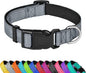 Reflective Dog Collar, Adjustable Soft Neoprene Padded Nylon Pet Collars with Buckle for Large Dogs, Gray,L