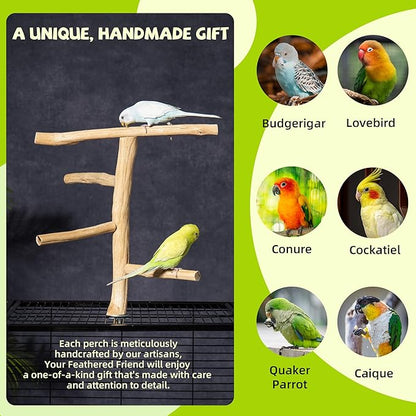 Natural Wood Bird Perch & Play Stand for Parakeets/Cockatiels - Multi-Level Cage Accessory with Training Branch