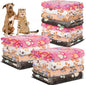 12 Pcs Small Dog Blanket Fleece Puppy Blankets Washable Pet Blankets for Cats Soft Flannel Paw Printed Throw for Guinea Pig Indoor Kittens Doggie (23 X 16 Inch, White, Dark Gray, Pink, Camel)