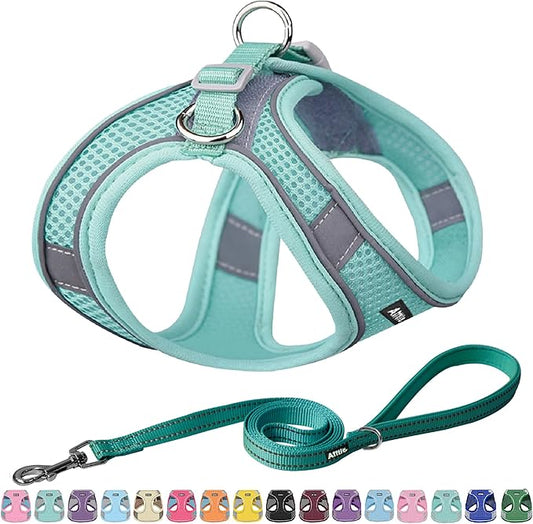 AIITLE Easy Walk Dog Harness and Leash Set - Pet Supply No Pull, Step in Adjustable Dog Harness with Padded Vest, No Choke Over, Easy to Put on Medium Dogs Pure Turquoise L