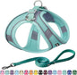 AIITLE Step in Dog Harness and Leash Set - No Pull Escape Proof Vest Harnesses with Soft Mesh and Reflective Bands, Adjustable Pet Outdoor Harnesses for Small and Medium Dogs Pure Turquoise M
