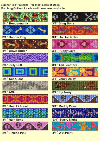 LupinePet Originals 3/4" Rain Song 13-22" Adjustable Collar for Medium and Larger Dogs