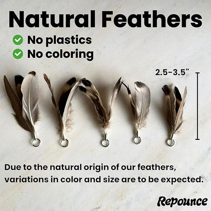 Feather Toys Replacements (3 Pc) - Cat Toys & Kitten Toys for Indoor Kittens, Set of Replacement Feather Attachments Extra Small and Durable, for Cat Wands, Natural and Safe