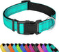 Reflective Dog Collar, Adjustable Soft Neoprene Padded Nylon Pet Collars with Buckle for Puppy and Small Dogs, Cats, Teal,XS