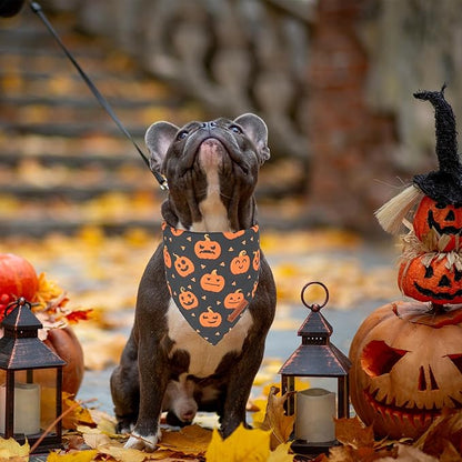 ADOGGYGO Halloween Dog Bandanas 2 Pack, Reversible Pumpkin Ghost Scarf, Premium Fabric, Adjustable Fit Orange Black Halloween Bandanas for Small Dogs (Small)