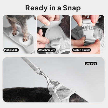 PetiFine Step in Small Dog Harness and Leash Set, Breathable All Weather Air Mesh Reflective Escape Proof, Step-in Vest Harnesses for Puppy(XS, Grey)