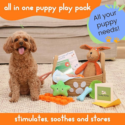 Premium Puppy Starter Kit - New Puppy Gift Basket with Essentials, Toy Box, Treat Tray, Training Supplies, Chew & Squeaky Toys for Puppies and Small Dogs - Complete Dog Must Haves for New Dog Owners