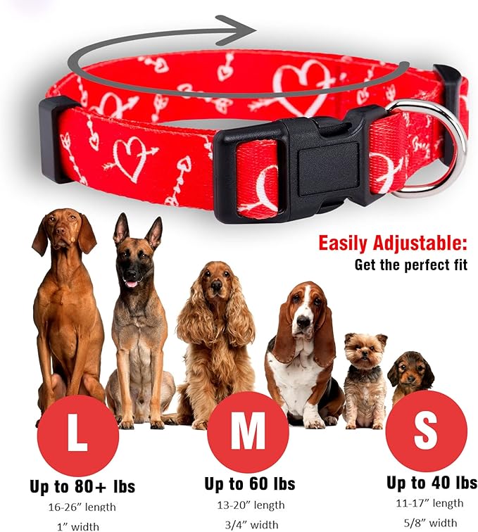 Native Pup Valentine’s Dog Collar- Valentines Day Pet Collars- Valentine Girly Hearts- Pink Red Heart- Cute Boy Girl Puppy Gift- Adjustable for Small, Medium, Large Breeds (Cupid's Arrows, Medium)
