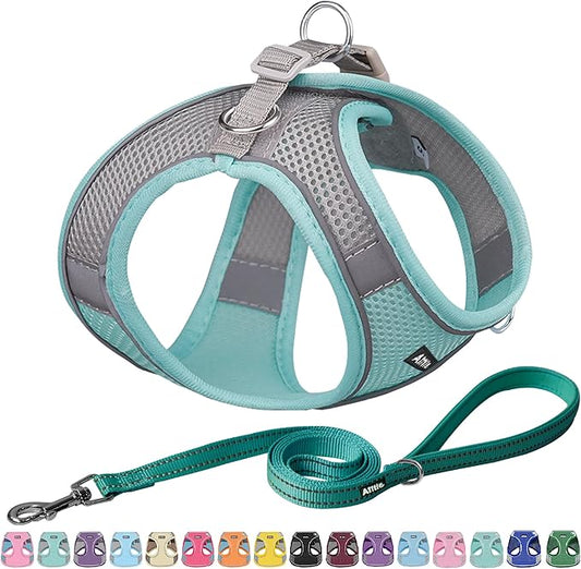 AIITLE Escape Proof Dog Harness - Step in Adjustable Dog Harness No Choke Over with Breathable Mesh and Quick-Release Buckle for All Weather- Outdoor Walking, Training for Medium Dogs Turquoise XL