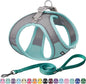AIITLE Escape Proof Dog Harness - Step in Adjustable Dog Harness No Choke Over with Breathable Mesh and Quick-Release Buckle for All Weather- Outdoor Walking, Training for Medium Dogs Turquoise XL