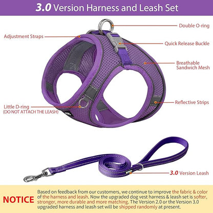 AIITLE Step in Dog Harness and Leash Set - No Pull Escape Proof Vest Harnesses with Soft Mesh and Reflective Bands, Adjustable Pet Outdoor Harnesses for Small and Medium Dogs Pure Purple M