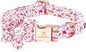 Lionheart Glory Shark Print Pink Collar - Adjustable Soft Dog Collar for Large Dogs