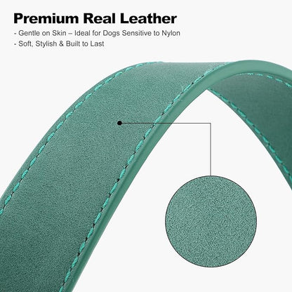 Plutus Pet Genuine Leather Dog Collar – Adjustable Pet Collar with Quick Release Metal Buckle, Soft Real Leather for Small Medium Large Dogs, Heavy Duty & Skin-Friendly (Green, M)