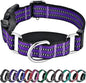 Hikiko Martingale Collar for Dogs Reflective Nylon Dog Collar with Quick Release Buckle Adjustable Training No Slip Dog Collar (Large, Purple)