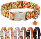 Fall Dog Collar Cute Autumn Leaves Puppy Collar - Light Comfortable Adjustable Pet Collars for Small Medium Large Girl Boy Dogs L