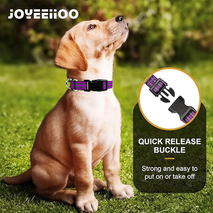 Martingale Dog Collar, Adjustable Nylon Reflective Collar with Quick Release Buckle (Real Purple, Small)