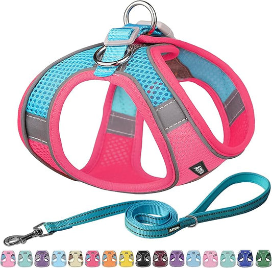 AIITLE Comfortable Dog Harness and Leash Set for Walking - Step in Vest Harness,Reflective Bands, Adjustable No Pull Puppy Essentials, for Small Dogs and House Cats Hot Pink XS