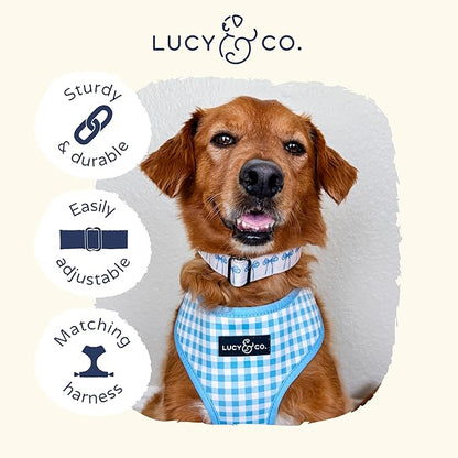 Lucy & Co. Dog Collar - Durable Lightweight Designer Collar for Pets - Adjustable Metal Safety Buckel - Small - White with Blue Bows