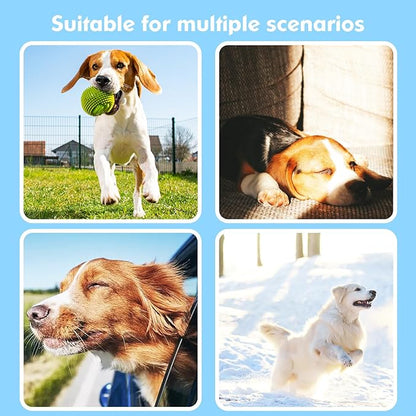 2-in-1 GPS Tracker for Dogs: Smart Collar with Real-Time Location, No Monthly Fee, Unlimited Range (iOS Only) GPS Tracker Dog Collar- Ideal for Small, Medium Large Dogs(Tracker Included)(Green)